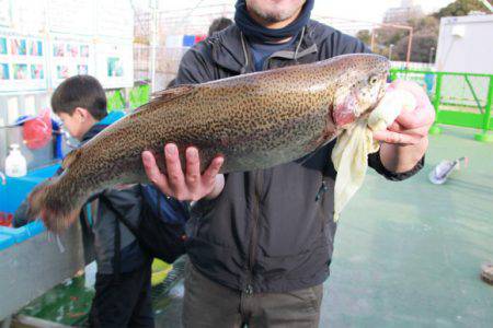としまえんフィッシングエリア 釣果