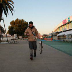 としまえんフィッシングエリア 釣果