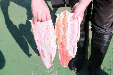 としまえんフィッシングエリア 釣果