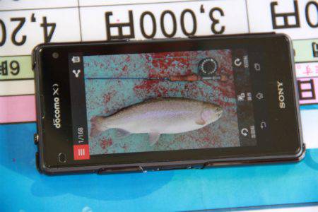 としまえんフィッシングエリア 釣果