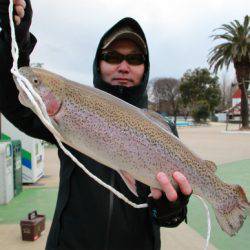 としまえんフィッシングエリア 釣果