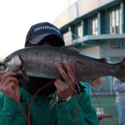 としまえんフィッシングエリア 釣果