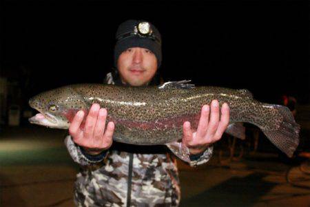 としまえんフィッシングエリア 釣果