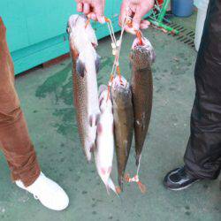 としまえんフィッシングエリア 釣果