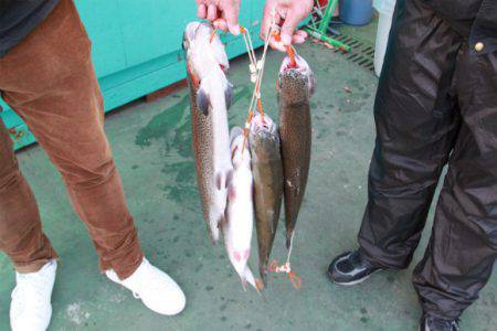 としまえんフィッシングエリア 釣果