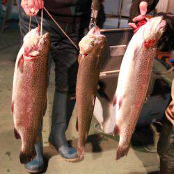 としまえんフィッシングエリア 釣果