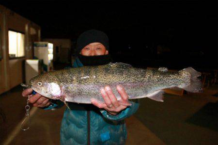 としまえんフィッシングエリア 釣果