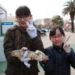 としまえんフィッシングエリア 釣果