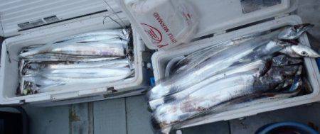 フィッシング キッタカ 釣果