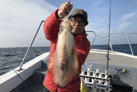 South Current 釣果