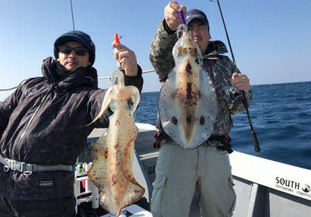 South Current 釣果