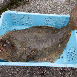 LUSTER『ラスター』 釣果