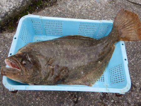 LUSTER『ラスター』 釣果