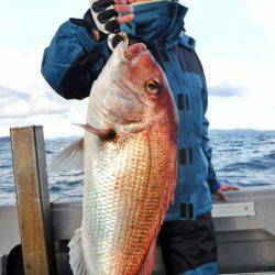 ブルースフィッシングサービス 釣果