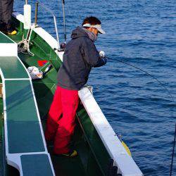 Big One　ビッグワン 釣果