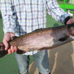 としまえんフィッシングエリア 釣果