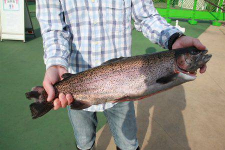 としまえんフィッシングエリア 釣果