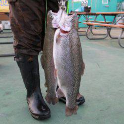 としまえんフィッシングエリア 釣果