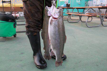 としまえんフィッシングエリア 釣果