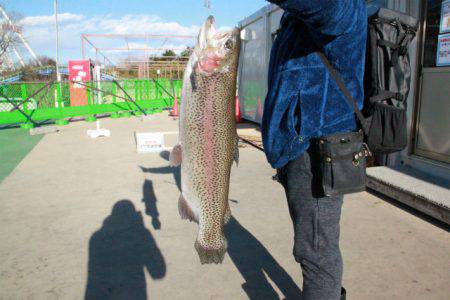 としまえんフィッシングエリア 釣果