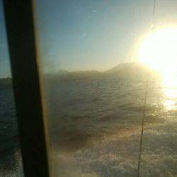 海季丸（みきまる） 釣果