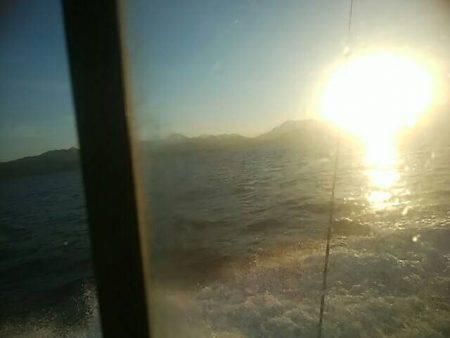 海季丸（みきまる） 釣果