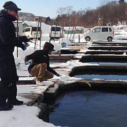 つりぼりあかし 釣果