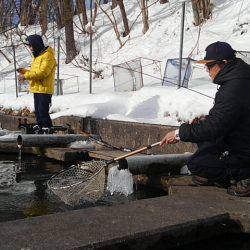 つりぼりあかし 釣果