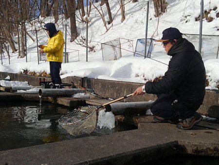 つりぼりあかし 釣果