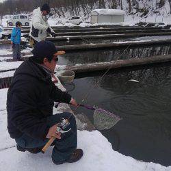 つりぼりあかし 釣果