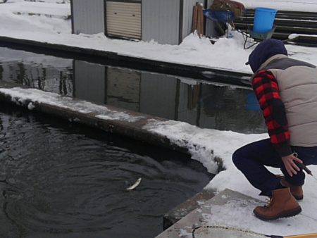 つりぼりあかし 釣果