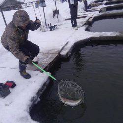 つりぼりあかし 釣果
