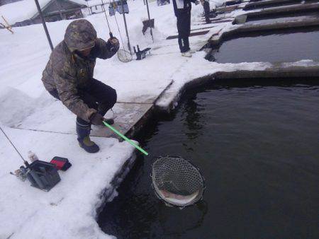 つりぼりあかし 釣果