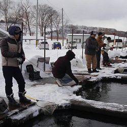 つりぼりあかし 釣果