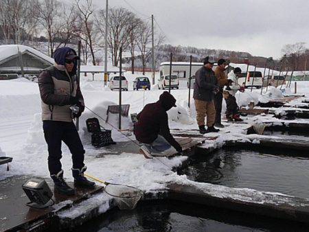 つりぼりあかし 釣果