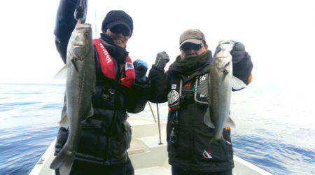 THESEAMAN(ザシーマン) 釣果