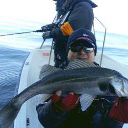 THESEAMAN(ザシーマン) 釣果