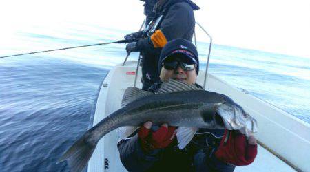 THESEAMAN(ザシーマン) 釣果