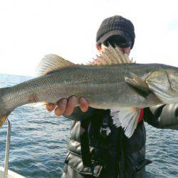 THESEAMAN(ザシーマン) 釣果