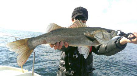 ＴＨＥＳＥＡＭＡＮ（ザシーマン） 釣果