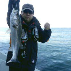 THESEAMAN(ザシーマン) 釣果