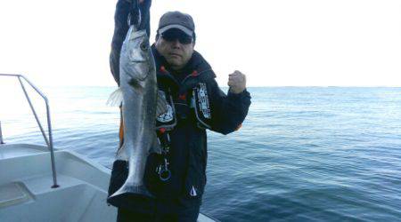 THESEAMAN(ザシーマン) 釣果