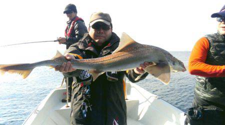 THESEAMAN(ザシーマン) 釣果