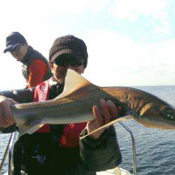 THESEAMAN(ザシーマン) 釣果