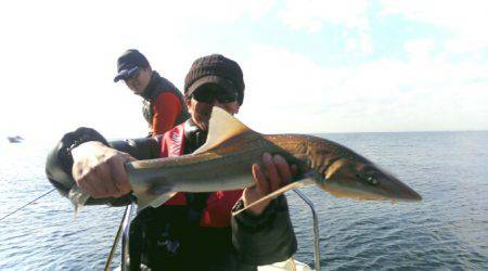 THESEAMAN(ザシーマン) 釣果