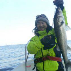 THESEAMAN(ザシーマン) 釣果