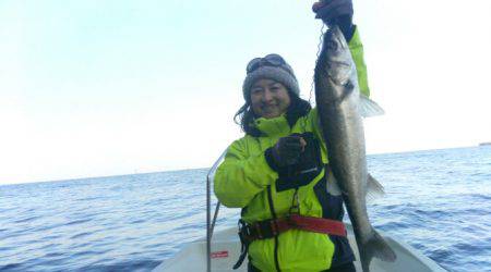 THESEAMAN(ザシーマン) 釣果