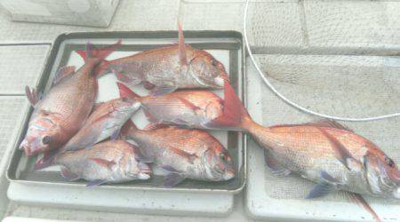 ＴＨＥＳＥＡＭＡＮ（ザシーマン） 釣果