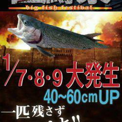 加賀フィッシングエリア 釣果