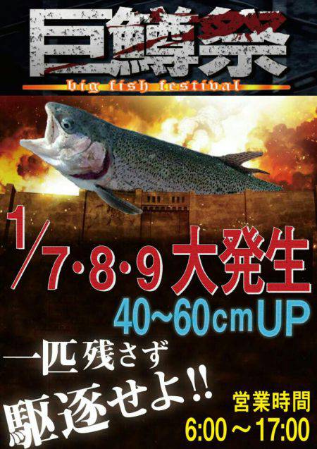 加賀フィッシングエリア 釣果